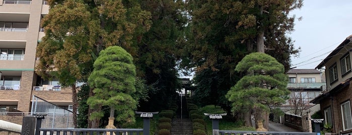 鹿島神社 is one of 参拝神社.