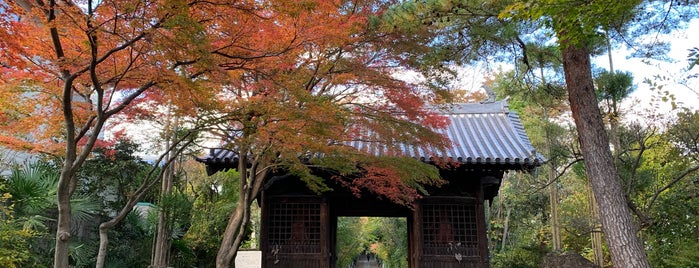 喜伝山 秀林寺 is one of 神社.
