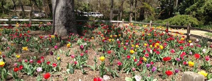 Charles C. Jensen Botanical Garden is one of Favorites.