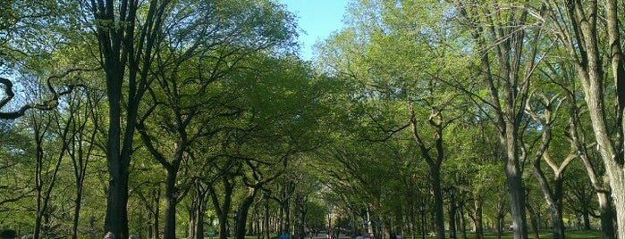 Central Park is one of NYU Graduate Bucket List.