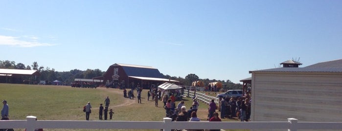 Alabama Grand Ole' Pumpkin Patch is one of Alabama Attractions.