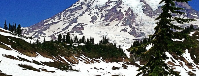 Mount Rainier National Park is one of Seattle/Washington.