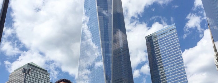One World Trade Center is one of Orte, die Liliana gefallen.