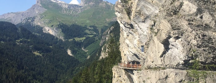 Bisse Torrent Neuf is one of Liliana'nın Beğendiği Mekanlar.