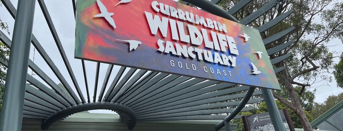 Currumbin Wildlife Sanctuary is one of Gold Coast.