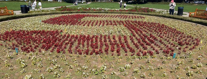 The Stanford Oval is one of สถานที่ที่บันทึกไว้ของ Chris.