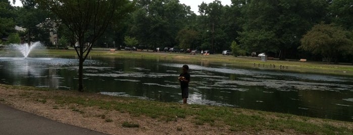 Saddle River County Park - Wild Duck Pond is one of Lugares favoritos de Ian.
