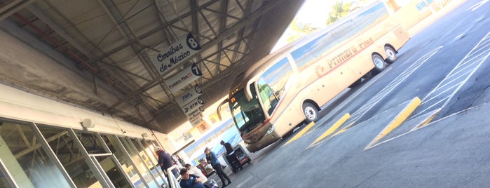 Terminal de Autobuses Nuevo Milenio de Zapopan is one of licores espirituosos.