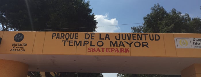 Skatepark Templo Mayor is one of <3.