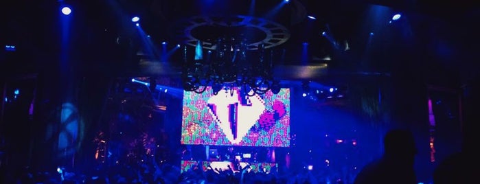 XS Nightclub is one of Lugares favoritos de Mark.