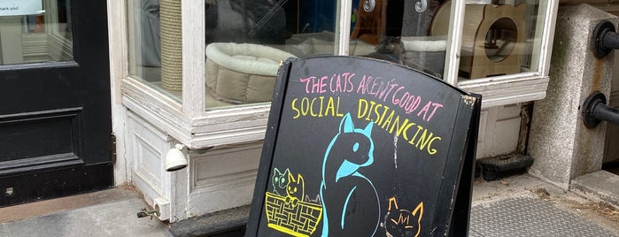 The 15 Best Pet Stores In Brooklyn