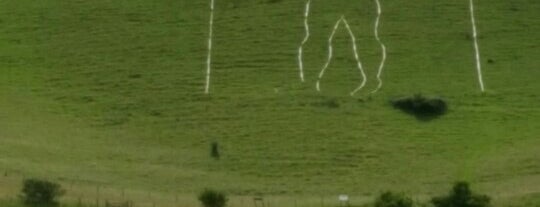 The Long Man of Wilmington is one of chalk figures.