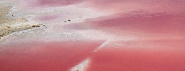 Las Coloradas is one of Kleliaさんのお気に入りスポット.