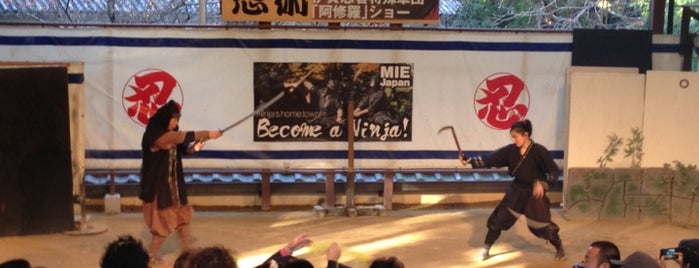 Ninja Museum of Igaryu is one of tetsu : понравившиеся места.