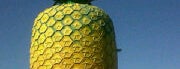 The Big Pineapple is one of south africa.