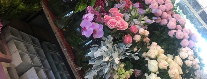 Poppy's Florist is one of Places to Shop around Australia.