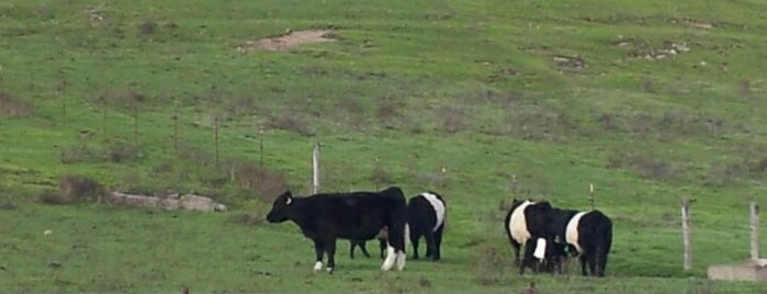 Oreo Cows is one of Locais curtidos por Michelle.
