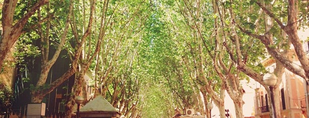 La Rambla is one of Palma de Mallorca und Umgebung.