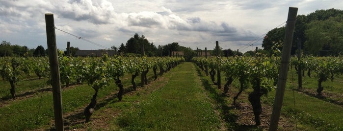 Vineyard 48 is one of Wine tour.