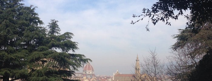 Piazzale Michelangelo is one of Fabio : понравившиеся места.