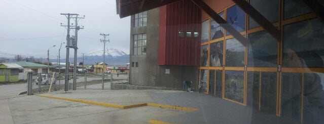 Rodoviario Puerto Natales is one of Locais curtidos por Esteban.