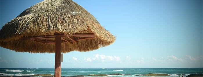 Playa Privilege Club is one of Lugares favoritos de BP.