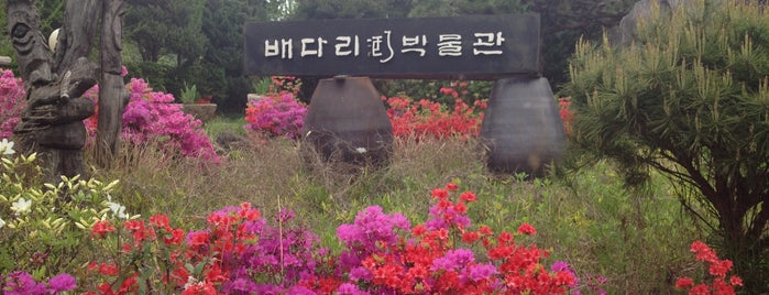 배다리술박물관 is one of From South Korea with love.