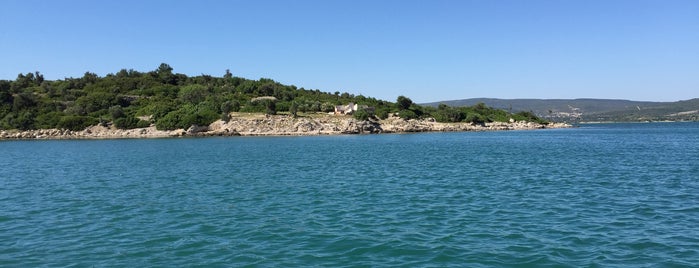 Yılan Adası is one of ada.