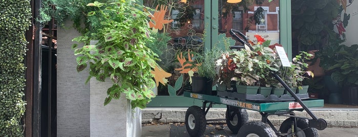 Tend Greenpoint is one of The 15 Best Places with Garden Center in Brooklyn.