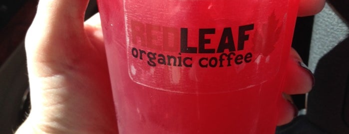 RED LEAF Organic Coffee is one of Tempat yang Disukai Alex.