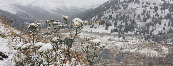 Independence Pass is one of Aspen Favorites.