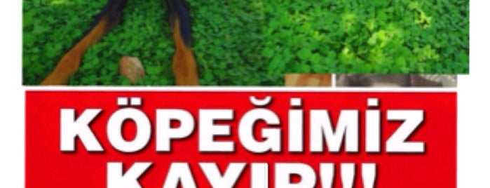 Sardunyalı Evleri is one of AntaLya :)).