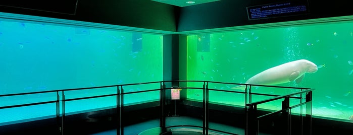 Toba Aquarium is one of てくてく4.