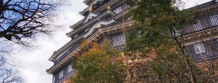 Castello di Okayama is one of てくてく3.