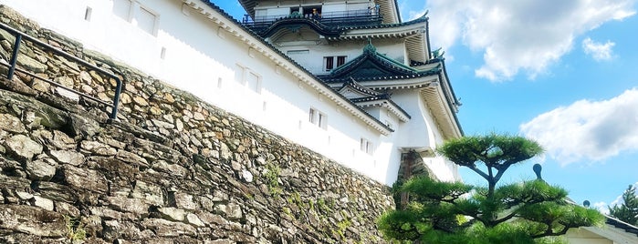 Wakayama Castle is one of てくてく4.