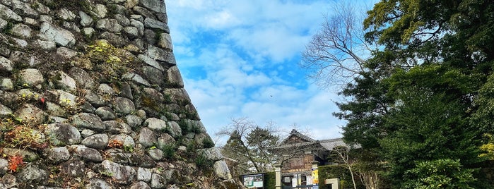 Matsusaka Castle Ruins is one of てくてく4.