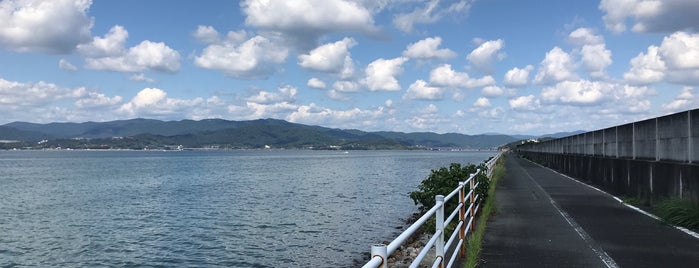 浜名湖周遊自転車道 is one of てくてく3.