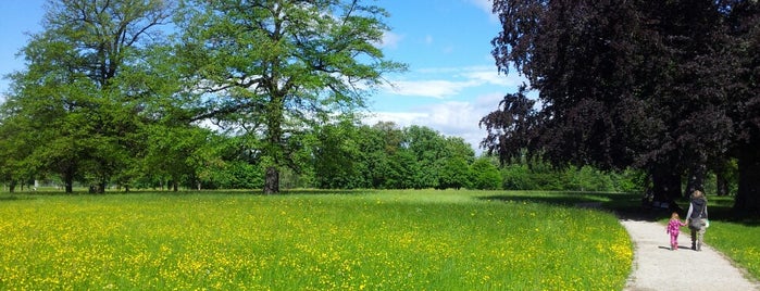 Rosensteinpark is one of Lugares favoritos de Hubert.
