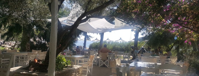 Λιμνονάρι Restaurant is one of Skopelos - Total Guide.