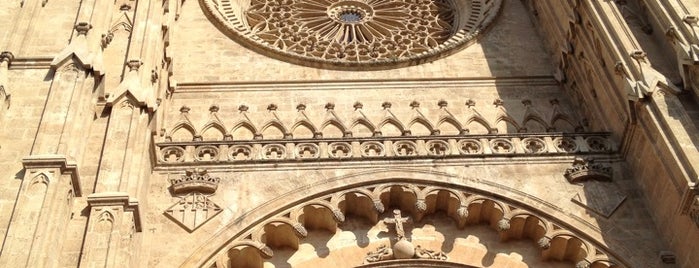 La Seu | Cathedral of Palma is one of Mallorca: I'm not an amateur tourist, I'm a pro!.