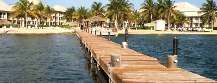 Holiday Inn Resort Grand Cayman, an IHG Hotel is one of Posti che sono piaciuti a Stephanie.