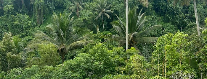 Natya Hotel & Resort Ubud is one of Отели.