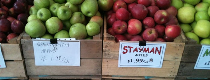 Tompkins Square Greenmarket is one of NYC Health: NYC Farmers' Markets.