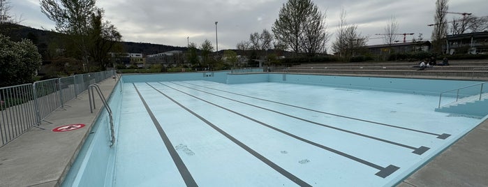 Schwimmbad Letzigraben is one of Zürich.