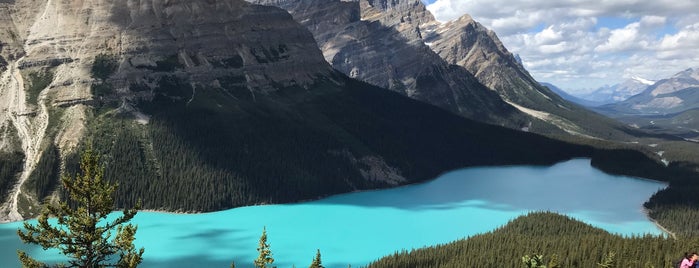 Peyto Lake is one of Lieux qui ont plu à An.