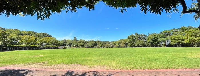Mineyama Park is one of All-time favorites in Japan.