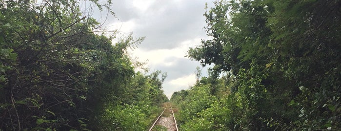 Bamboo train (Norry) is one of สถานที่ที่ Robert ถูกใจ.