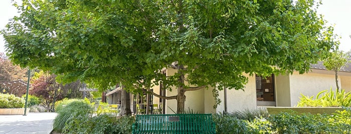 Civic Park is one of Diablo Valley favourites.