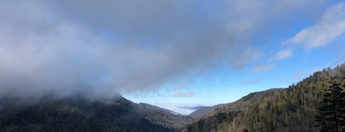 Great Smoky Mountains National Park is one of East Tennessee.