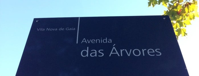Avenida das Árvores is one of Lugares.